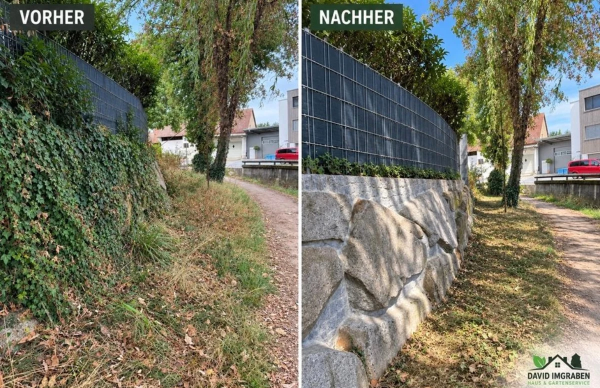 Vorher und nachher: Freischnitt entlang eines Weges und Zauns